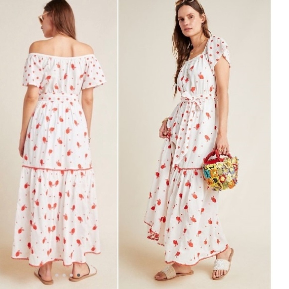 ANTHROPOLOGIE Esme Embroidered Floral Maxi Dress